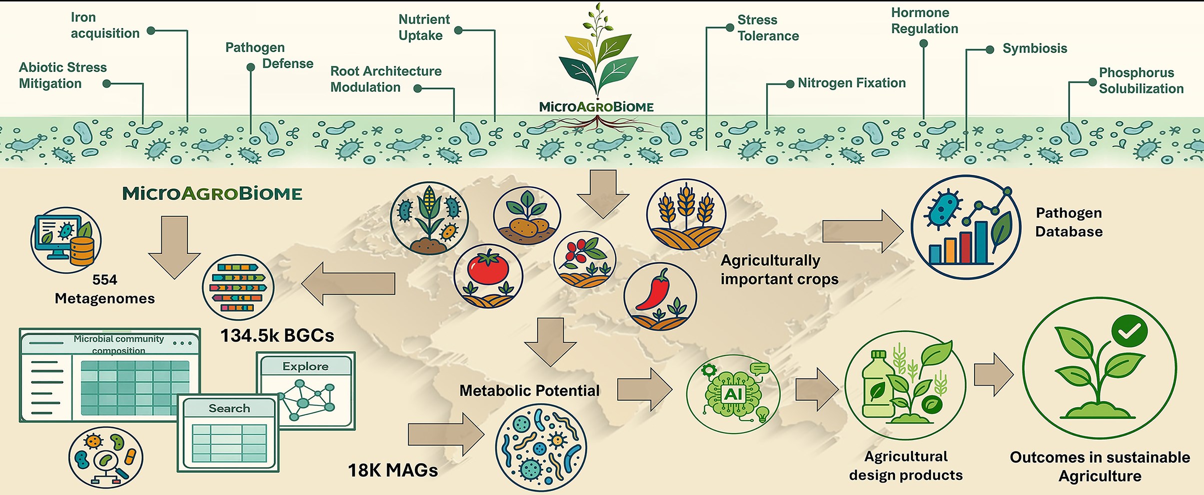 Proyecto de metagenómica funcional en rizosfera de cultivos agrícolas